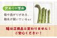 野菜 アスパラ 新鮮 美味しい おいしい 食べ応え
