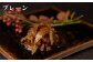 ステーキ 人気 和牛  壱岐牛 希少 柔らかい やわらかい 贈り物 ギフト  肉