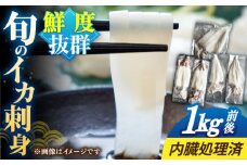 旬のイカ刺身1kg前後《壱岐市》【馬渡水産】イカ いか 烏賊 剣先 アオリ あおり スルメ するめ 刺身 刺し身 お刺身 海鮮 魚貝 冷凍配送 産地直送 [JAQ027]