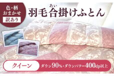 【訳あり】 色柄おまかせ クイーン 羽毛合掛けふとん シルバープリンセスダック ダウン90% ダウンパワー400dp 《壱岐市》 【富士新幸九州】 [JDH121]