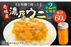 【全2回定期便】壱岐産 濃厚 ウニ60g《壱岐市》【合同会社塚元】ムラサキウニ 海産物 海鮮 ウニ うに 雲丹 珍味 [JDR029]