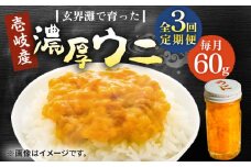 【全3回定期便】壱岐産 濃厚 ウニ60g《壱岐市》【合同会社塚元】ムラサキウニ 海産物 海鮮 ウニ うに 雲丹 珍味 [JDR030]