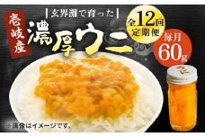 【全12回定期便】壱岐産 濃厚 ウニ60g《壱岐市》【合同会社塚元】ムラサキウニ 海産物 海鮮 ウニ うに 雲丹 珍味 [JDR032]