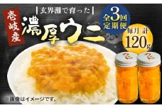 【全3回定期便】壱岐産 濃厚 ウニ 60g ×2本《壱岐市》【合同会社塚元】ムラサキウニ 海産物 海鮮 うに 雲丹 珍味 [JDR034]
