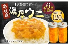 【全6回定期便】壱岐産 濃厚 ウニ 60g ×2本《壱岐市》【合同会社塚元】ムラサキウニ 海産物 海鮮 うに 雲丹 珍味 [JDR035]