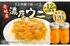 【全12回定期便】壱岐産 濃厚 ウニ 60g ×2本《壱岐市》【合同会社塚元】ムラサキウニ 海産物 海鮮 うに 雲丹 珍味 [JDR036]