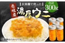 壱岐産 濃厚 ウニ 60g ×5本《壱岐市》【合同会社塚元】ムラサキウニ 海産物 海鮮 うに 雲丹 珍味 [JDR041]