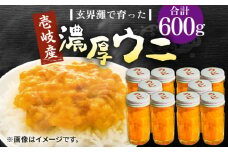 壱岐産 濃厚 ウニ 60g ×10本《壱岐市》【合同会社塚元】ムラサキウニ 海産物 海鮮 ウニ うに 雲丹 珍味 [JDR042]