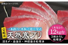 【12キロ台】 壱岐島産 天然寒ブリ（3枚おろし） 《壱岐市》【壱岐島　玄海屋】[JBS111]  ぶり 寒ぶり ブリ 魚 刺身 しゃぶしゃぶ ぶりしゃぶ 天然