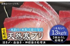 【13キロ台】 壱岐島産 天然寒ブリ（3枚おろし） 《壱岐市》【壱岐島　玄海屋】[JBS112]  ぶり 寒ぶり ブリ 魚 刺身 しゃぶしゃぶ ぶりしゃぶ 天然