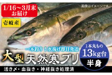 【13キロ台】 【1月16日〜3月末お届け】壱岐島産天然寒ブリ（一本丸ものサイズの半身ブロック） 《壱岐市》【壱岐島　玄海屋】[JBS120]  ぶり 寒ぶり ブリ 魚 刺身 しゃぶしゃぶ 