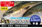 人気  おすすめ オススメ 天然ぶり 天然ブリ 天然鰤 しゃぶしゃぶ ぶりしゃぶ