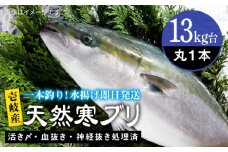 【13キロ台】壱岐島産天然寒ブリ（4～14キロ台・丸もの） 《壱岐市》【壱岐島　玄海屋】[JBS109] ぶり 寒ぶり ブリ 魚 刺身 しゃぶしゃぶ のし プレゼント ギフト
