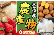 【全6回定期便】壱岐産農産物定期便《壱岐市》【壱岐市農業協同組合】米 コシヒカリ じゃがいも いちご 野菜セット [JBO159]