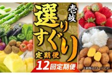 【全12回定期便】壱岐選りすぐり定期便《壱岐市》【壱岐市農業協同組合】野菜セット メロン ステーキ 詰め合わせ [JBO160]