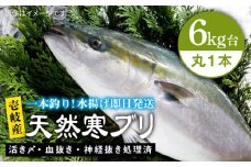 【6キロ台】壱岐島産天然寒ブリ（4～14キロ台・丸もの） 《壱岐市》【壱岐島　玄海屋】[JBS124] ぶり 寒ぶり ブリ 魚 刺身 しゃぶしゃぶ のし プレゼント ギフト