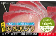 【6キロ台】 【11/1〜1/15お届け 年末年始用】天然 寒ブリ（3枚おろし） 《壱岐市》【壱岐島　玄海屋】[JBS127]  ぶり 寒ぶり ブリ 魚 刺身 しゃぶしゃぶ