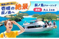 辰ノ島クルージング(辰ノ島渡船)大人1名様分《壱岐市》【勝本町漁業協同組合】 [JFN001]