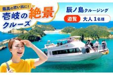 辰ノ島クルージング(辰ノ島遊覧)大人1名様分《壱岐市》【勝本町漁業協同組合】 [JFN002]