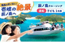 辰ノ島クルージング(辰ノ島渡船)子ども1名様分《壱岐市》【勝本町漁業協同組合】 [JFN004]