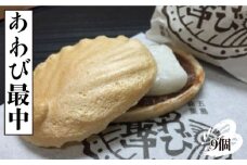 【第17回全国菓子博金賞を受賞！】 あわび最中 9個入り 【ル・モンド風月】[PCT004] もなか 最中 モナカ 和菓子 お菓子 あんこ