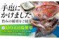 干物 ひもの 乾物 高級魚 のどぐろ 一夜干し 白身魚 五島市 魚 朝食 おかず おつまみ