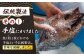 干物 ひもの 乾物 高級魚 のどぐろ 一夜干し 白身魚 五島市 魚 朝食 おかず おつまみ