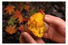0123 ごとの焼き芋セット ６０ｐｔ 【60pt】