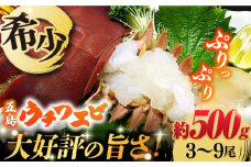【2025年先行予約】【プリプリ食感と旨み】希少 うちわえび 約500g (3〜9尾) ウチワエビ うちわエビ 海老 えび 旬 新鮮 海鮮 五島市/五島FF [PBJ011]
