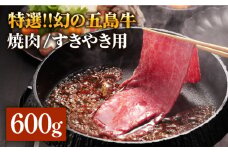 幻の五島牛（特選）焼肉・すき焼用 肩ロース600g 五島市/ニク勝 [PBF002] やきにく 焼肉 すきやき 牛肉 牛 にく 肩ロース 国産