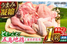 超新鮮 五島地鶏 しまさざなみ1羽分セット 約3kg 五島市/五島さざなみ農園 [PBE001]