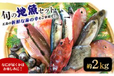 旬の地魚セット 2kg（エラ・内臓処理済） 冷蔵 鮮魚 魚介 刺身 五島市 / 五島FF [PBJ010]