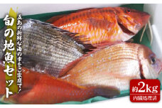 旬の地魚セット 2kg（ウロコ・エラ・内臓処理済） 冷蔵 鮮魚 魚介 刺身 五島市 / 五島FF [PBJ009]
