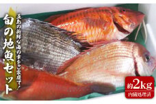 旬の地魚セット 2kg（ウロコ・エラ・内臓処理済） 冷蔵 鮮魚 魚介 刺身 五島市 / 五島FF [PBJ009]