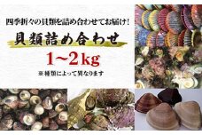 【天然海の幸、お酒のお供にも】おまかせ！五島の貝類詰め合わせ 1~2kg 五島市/五島FF [PBJ013]