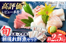 【下処理済！真空パックでお届け】五島産 高級 朝獲れ 鮮魚 ( 下処理済 ) 約2.5kg セット 五島市/マルセイ水産[PBT002] 海鮮 刺身 高級 セット さかな 鮮魚 新鮮 五島 久賀島 旬 さしみ