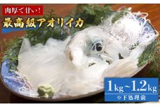 【肉厚で甘い・抜群の透明度】五島産 最高級 アオリイカ 1kg～1.2kg  五島市/マルセイ水産 [PBT003] 刺身 冷凍 いか 海鮮 あおりいか 海産物