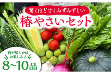 何が届くかはお楽しみ 椿やさいの野菜セット(8-10品) 五島市/いきいきファーム [PCY001] 詰合せ 詰め合わせ 野菜 お野菜  おまかせ おたのしみ BOX ボックス お取り寄せ
