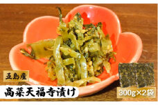 【数量限定300】五島 高菜天福寺漬け 300g×2袋 五島市/心誠 [PCG005] 辛子高菜 漬物  おかず つけもの 漬け物 漬けもの お漬物 