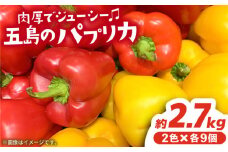 肉厚＆ジューシー 五島のパプリカ 計18個 五島市/ＨＰＩファーム [PCP003] 野菜 やさい 国産 新鮮 緑黄色野菜 産地直送 とれたて