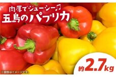 【肉厚ジューシー】五島のパプリカ 約2.7kg 五島市/HPIファーム [PCP003] 野菜 やさい 国産 新鮮 緑黄色野菜 産地直送 とれたて