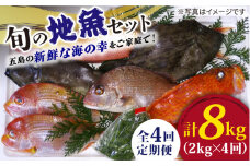 【全4回定期便】旬の地魚セット（エラ・内臓処理済）冷蔵 鮮魚 魚介 刺身  五島市 / 五島FF [PBJ002]