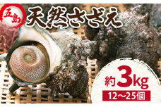 【2025年1月先行予約】五島の天然さざえ 約3kg 貝 海の幸 海鮮 五島市 / 五島FF [PBJ007]  サザエ 栄螺 貝 海鮮 BBQ 壺焼き 刺身 冷蔵