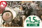サザエ 栄螺 貝 海鮮 BBQ 壺焼き 刺身 冷蔵 天然