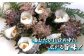 サザエ 栄螺 貝 海鮮 BBQ 壺焼き 刺身 冷蔵 天然