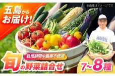 【一人暮らしに】有機農法・旬の野菜詰め合わせ 五島市/ぷらっと農園 [PDS005]
