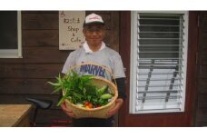 0135 【定期便】毎月お届け 有機農法！旬の野菜詰合せセット 【300pt】