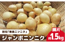 【匂わない！大きなぷっくりニンニク】 無農薬！こだわりのジャンボニンニク (鱗片) 五島市/ぷらっと農園 [PDS002]
