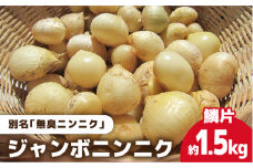 【匂わない！大きなぷっくりニンニク】 無農薬！こだわりのジャンボニンニク (鱗片) 五島市/ぷらっと農園 [PDS002]