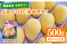 【期間限定】 もぎたて！ 五島のびわ（長崎早生）化粧箱入 秀品 500g 五島市/ごとう農業協同組合 [PEM001]